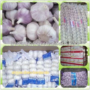 China garlic distributor